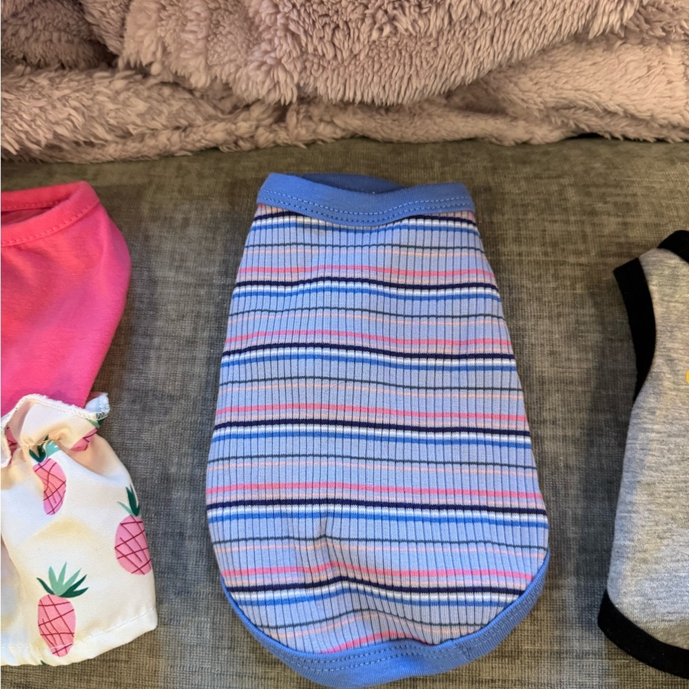 Striped Blue and Pink Dog Shirt